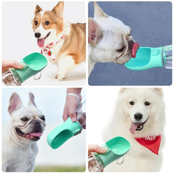 Gourde pour chien⎢X-Innovations™